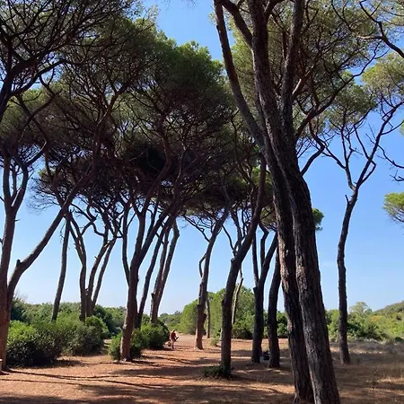 דירה Casa Ginestra