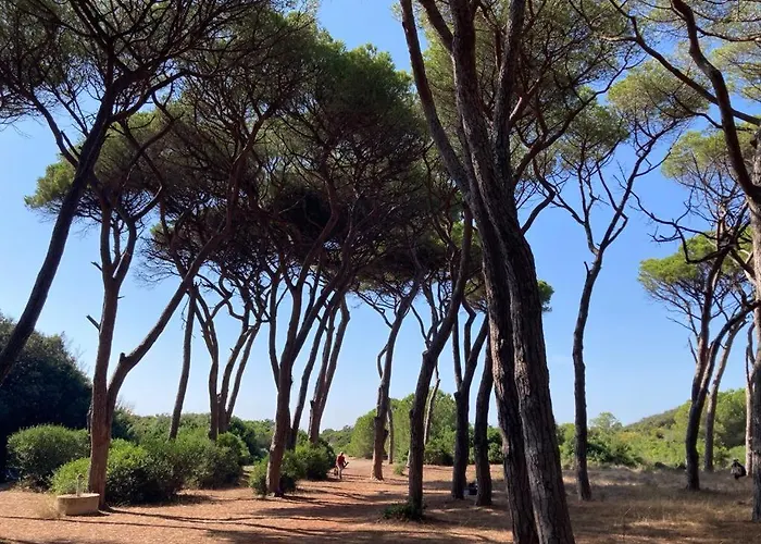 アパート Casa Ginestra